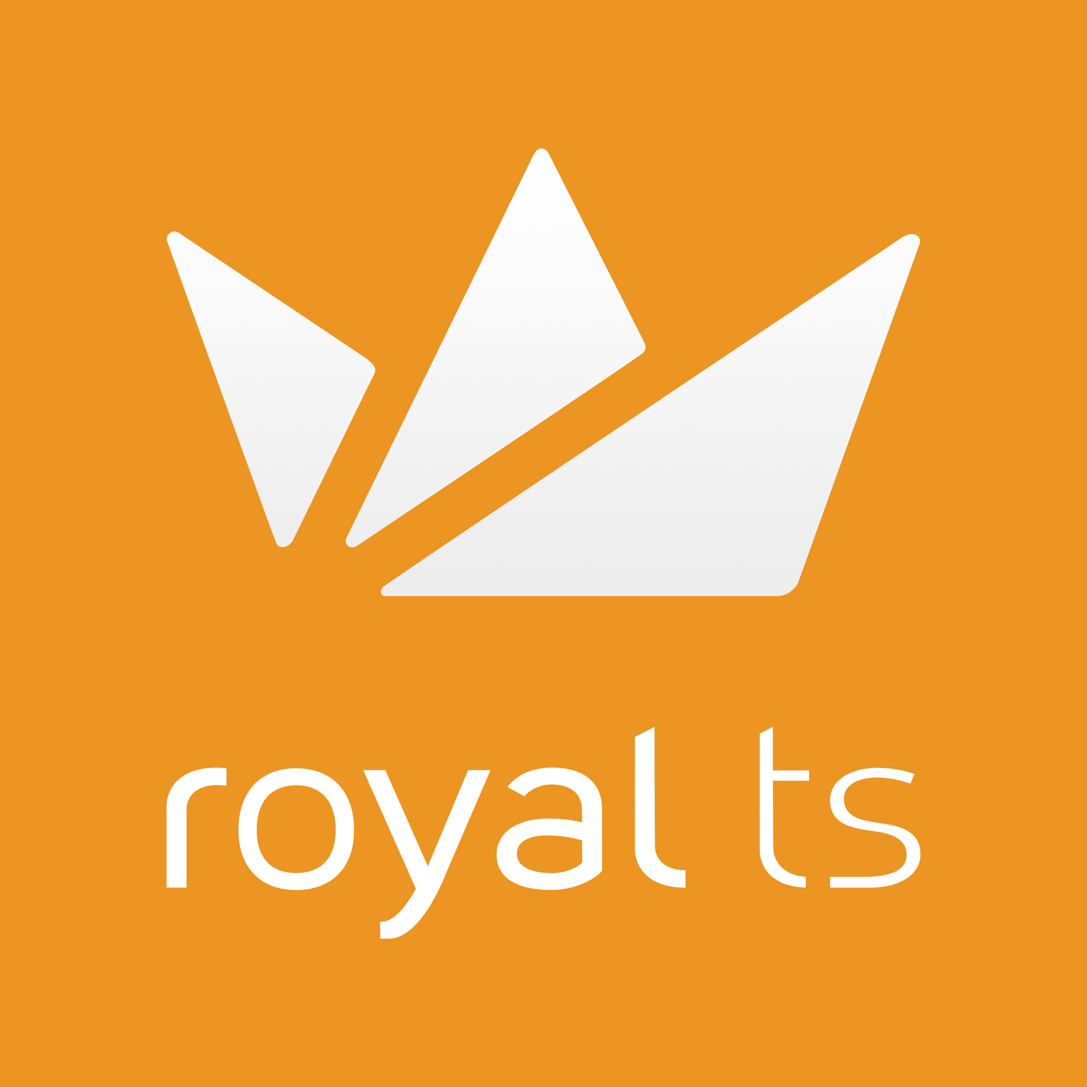 Guide to Using Royal TS on macOS